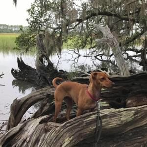 Meet your Posher, Keith